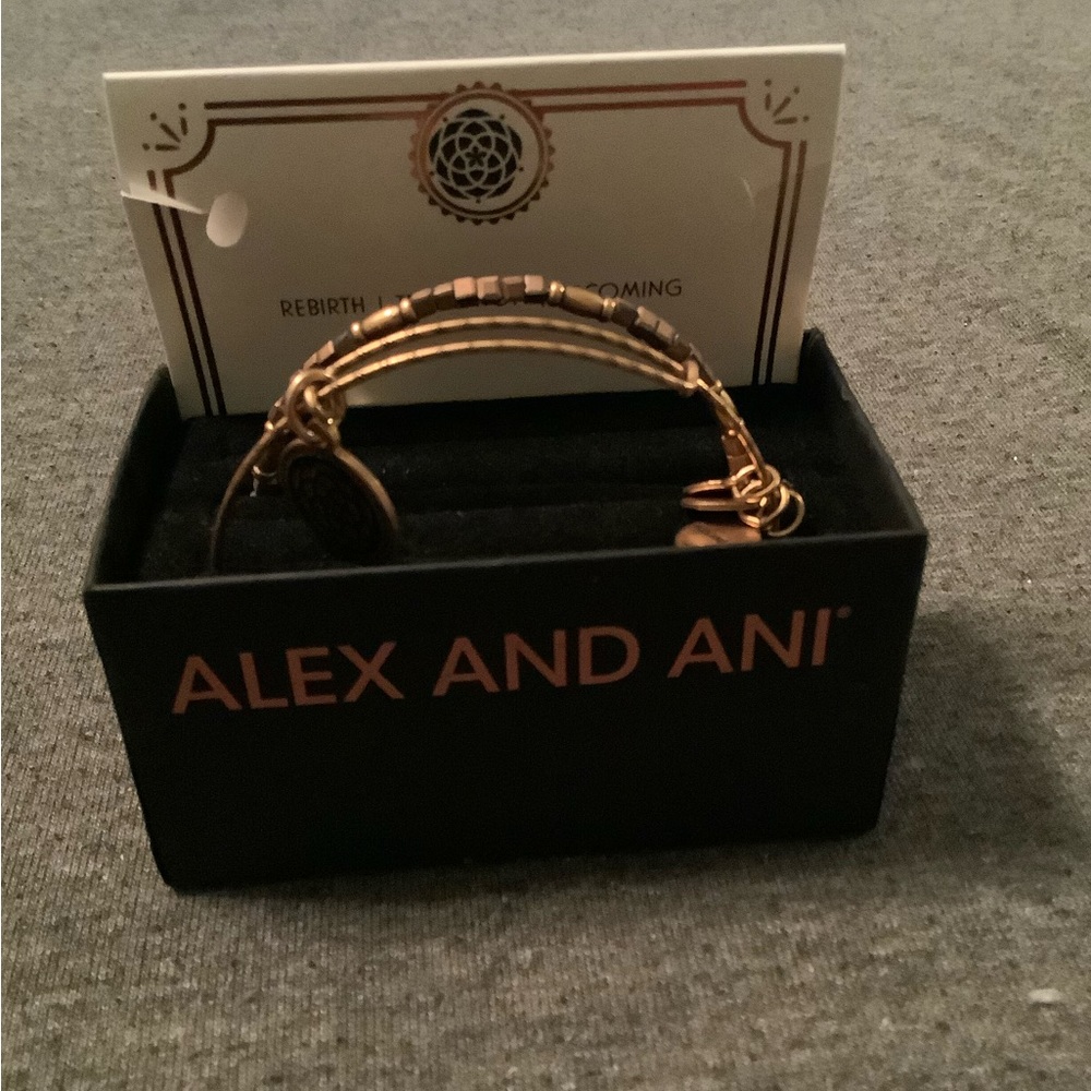 Set of Alex and Ani Bracelets